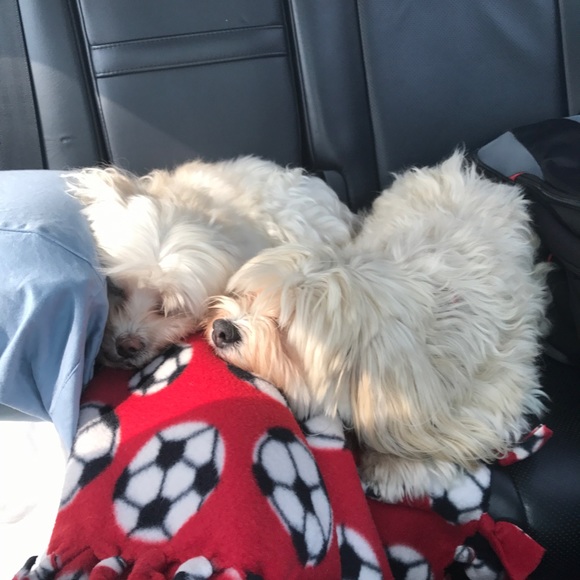 Meet Your Posher, Karri - Picture 8 of 17